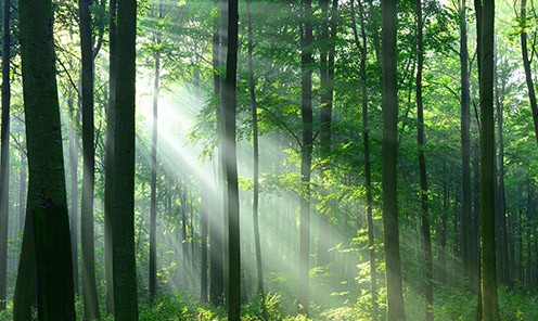 寶馨科(ke)技(ji)公(gōng)司深度報告:重(zhong)啓航,走(zou)進(jin)“低碳”新(xin)時代(dai)